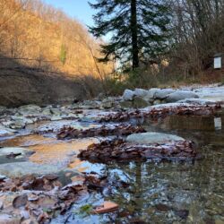 ©Associazione Ecomuseo della Montagna Pistoiese